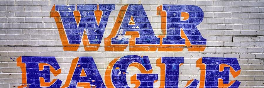 Botiger4's profile banner image