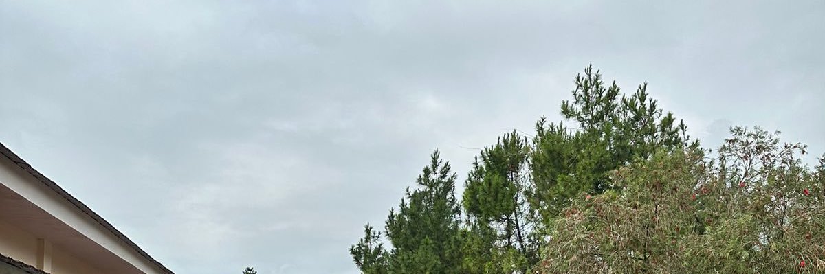 lichacil's profile banner image