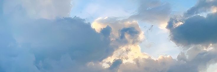 zabrinarics's profile banner image