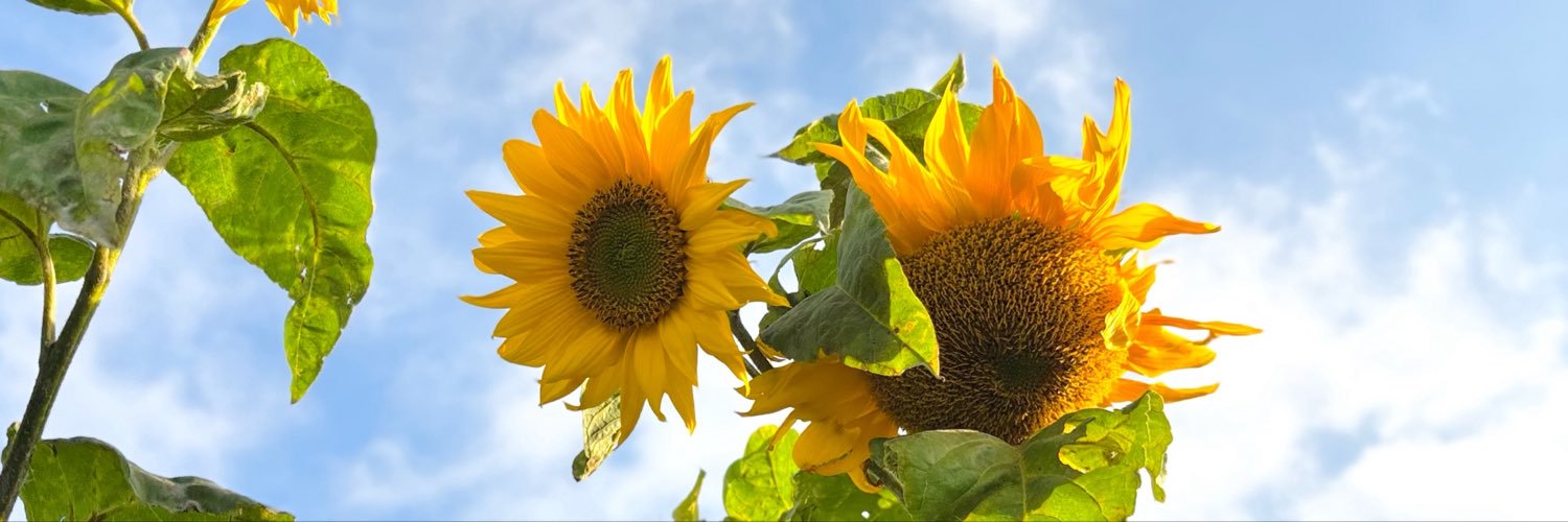 kentuckuyy's profile banner image