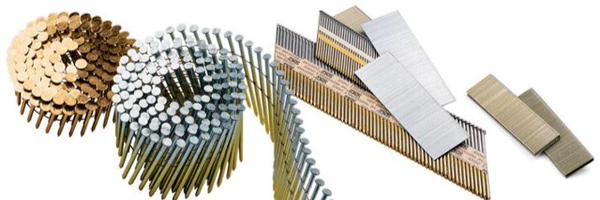 BulldogNails Profile Banner