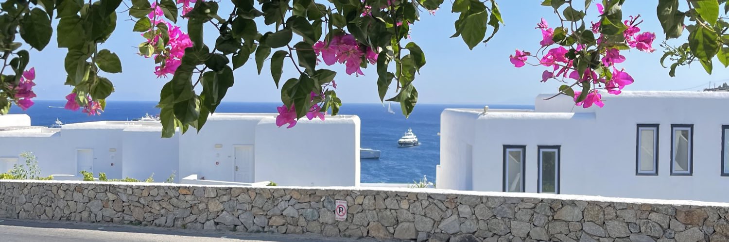 amandaviless's profile banner image