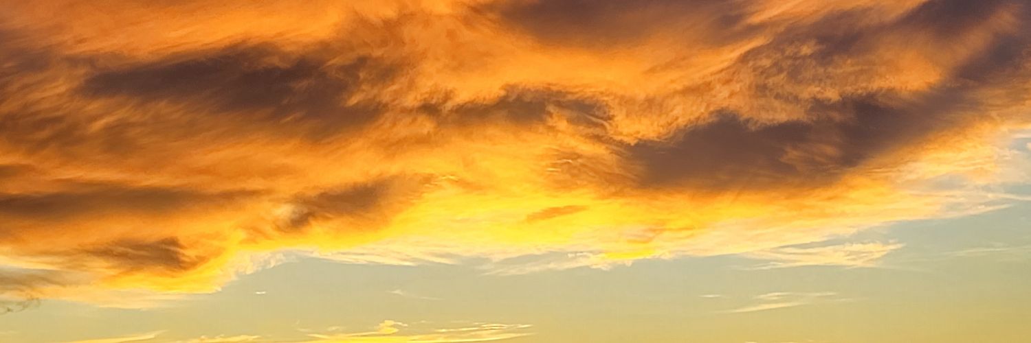 ash_lar1's profile banner image