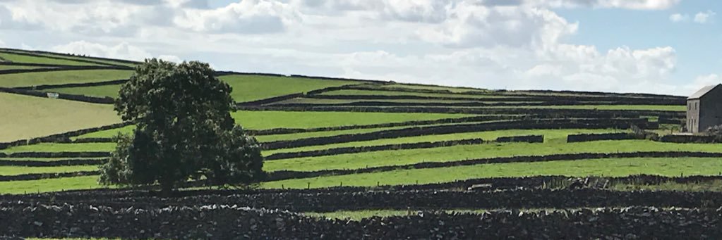 Craig Wareham banner