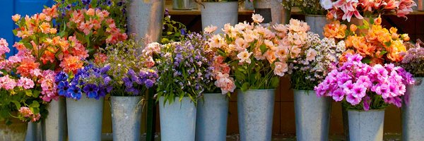 rasyeu Profile Banner