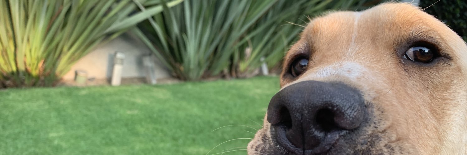 ferdelcarmen's profile banner image