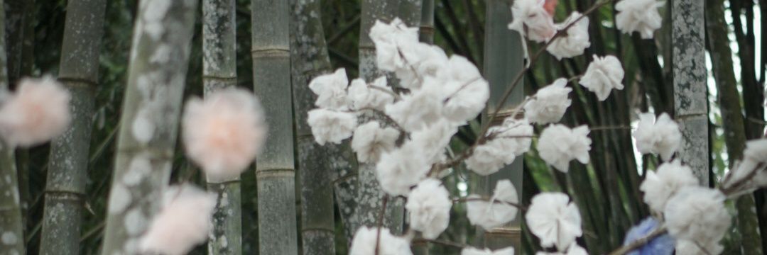 KakaCaheaC's profile banner image