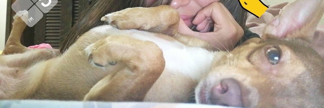 ItsMeKleer7's profile banner image