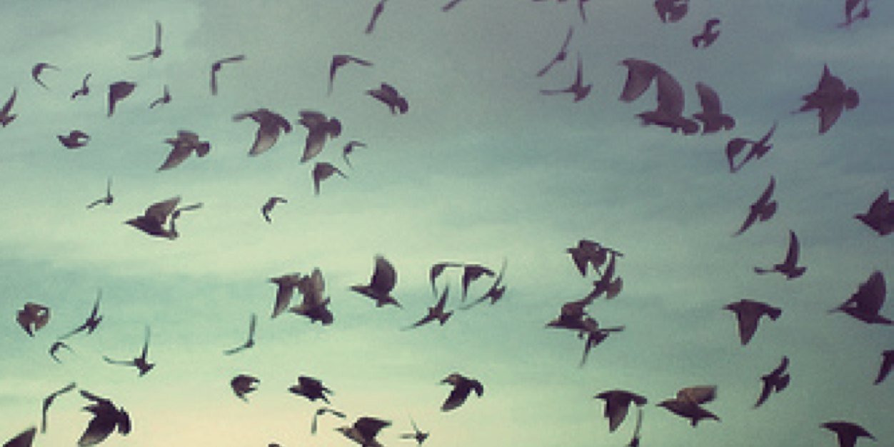 Re_NewLife's profile banner image