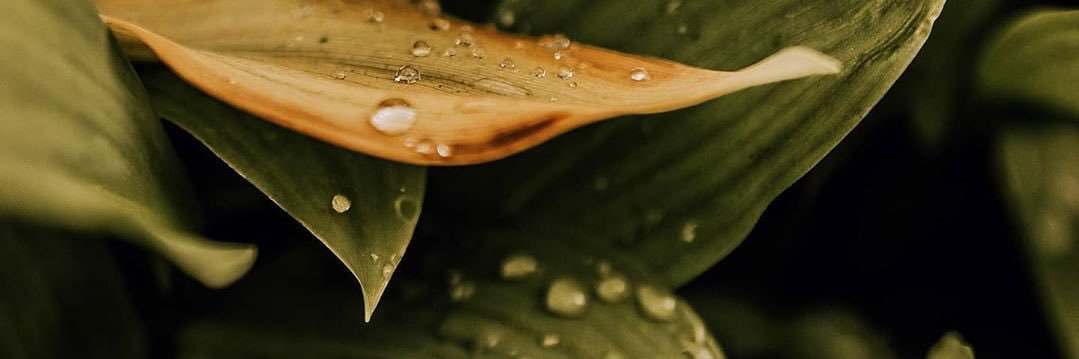 EVGINIA_'s profile banner image