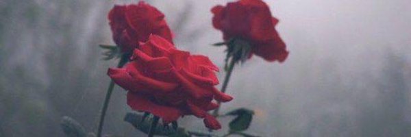 natashabtw Profile Banner