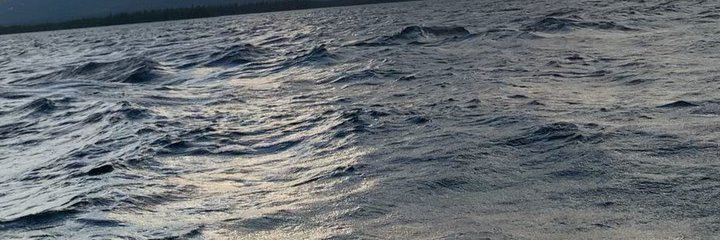 Yccc_Nina's profile banner image