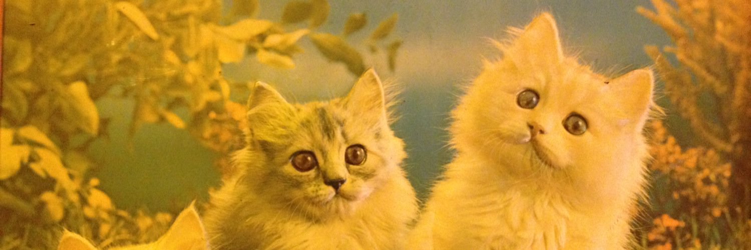 geminem's profile banner image