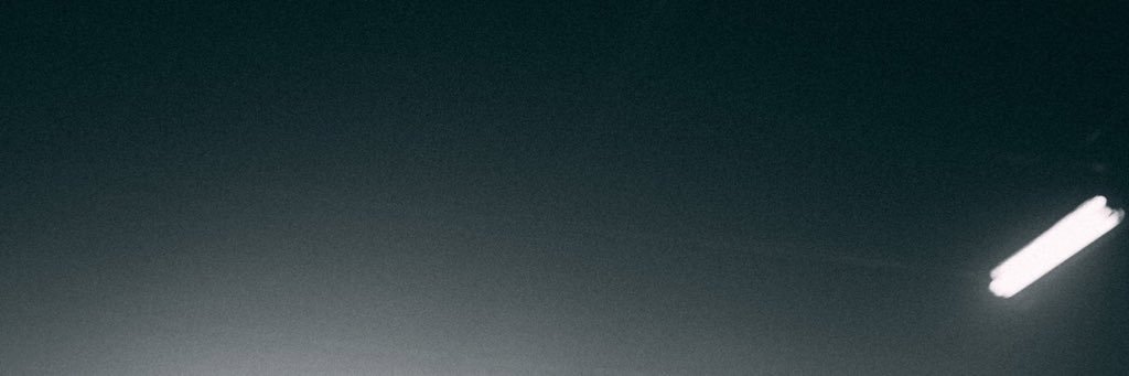 PetriccasVocals's profile banner image