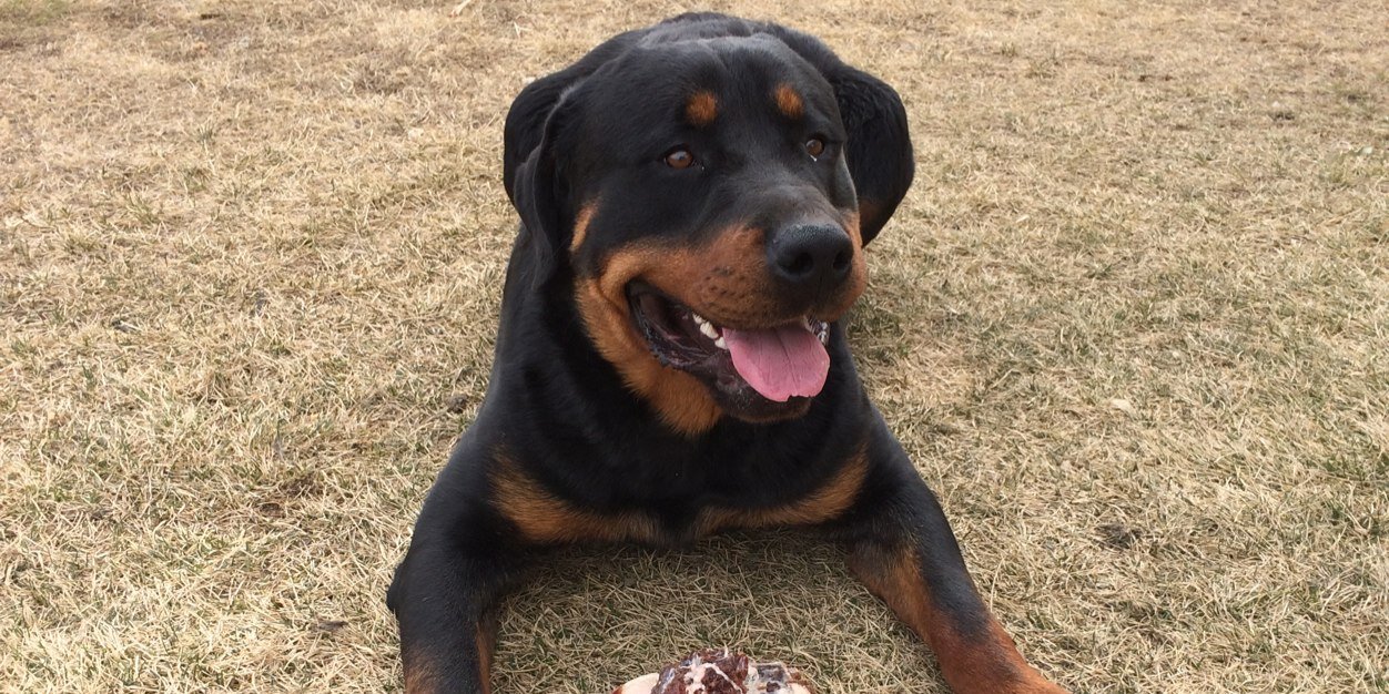 Lonnie Brewer banner