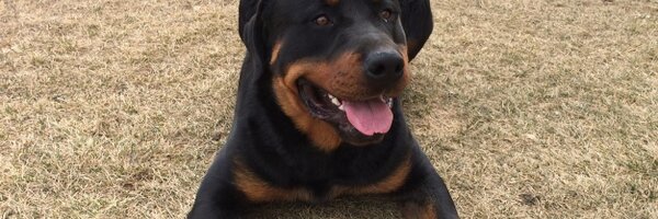 lbrewer09 Profile Banner