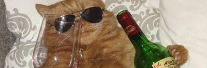 ginacreighton's profile banner image