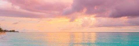 ShammaAlFahim's profile banner image