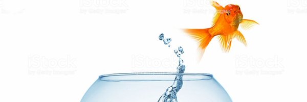 exfrancesina Profile Banner