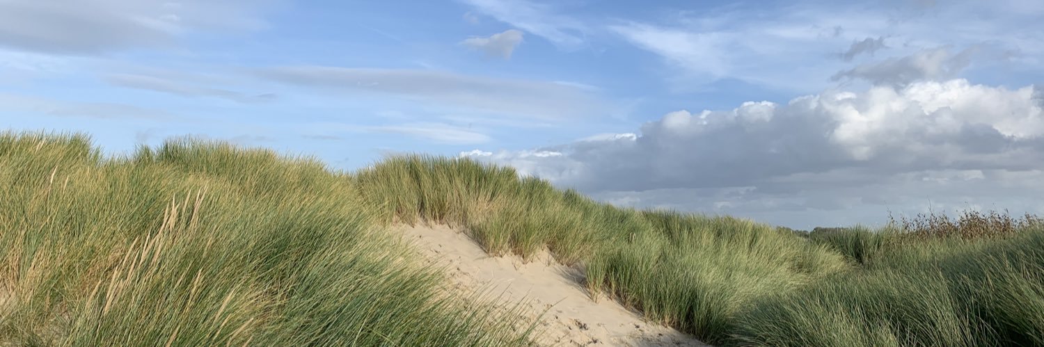 Christina Hinrichs•HB|Ni banner