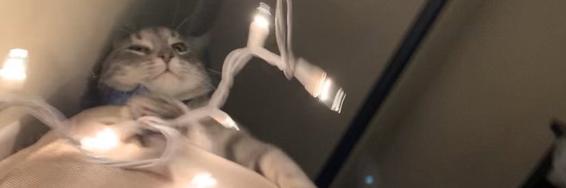 ɐᴉɹɐɯ banner