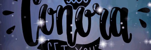 plasingo's profile banner image