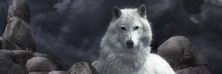 PaylosXarakos's profile banner image