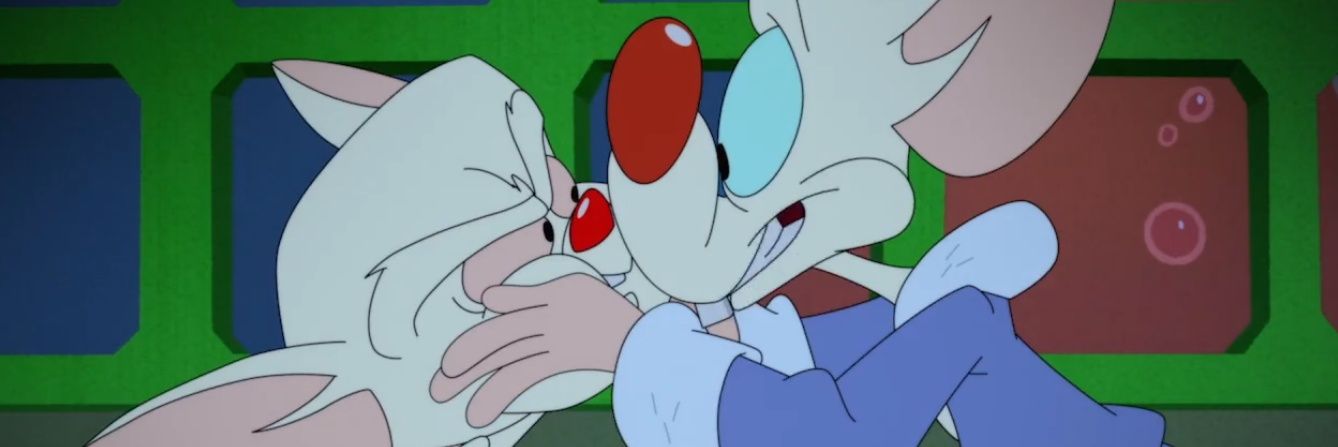 funny worm 🪱 | 🐝LM | 🍉 banner