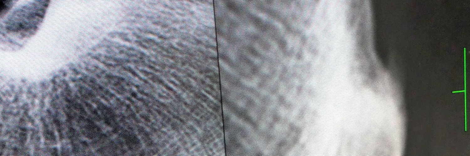 tang_sang's profile banner image