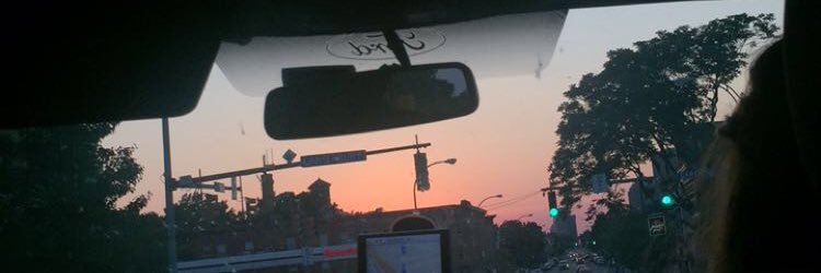 lexi_schalau's profile banner image