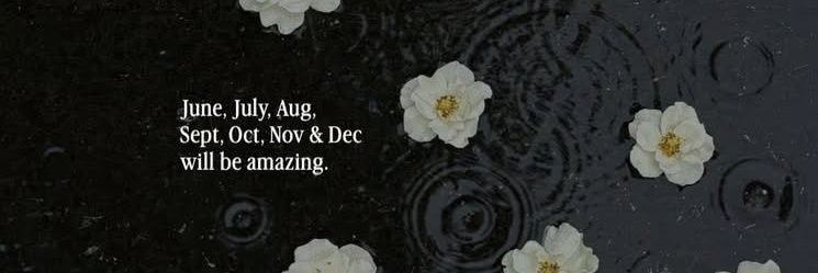 trigonemetry's profile banner image