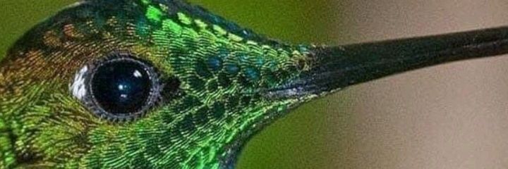 karuusfernandez's profile banner image