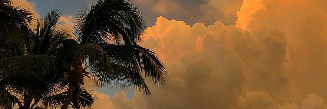 NicoGalvan09's profile banner image