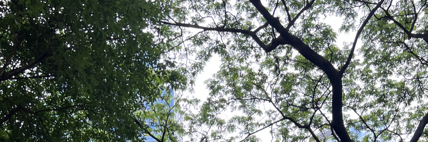 HeyyGreggy's profile banner image
