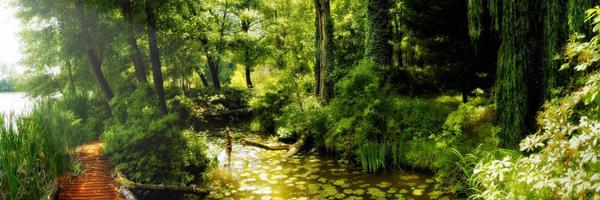 NewLeafCLT Profile Banner