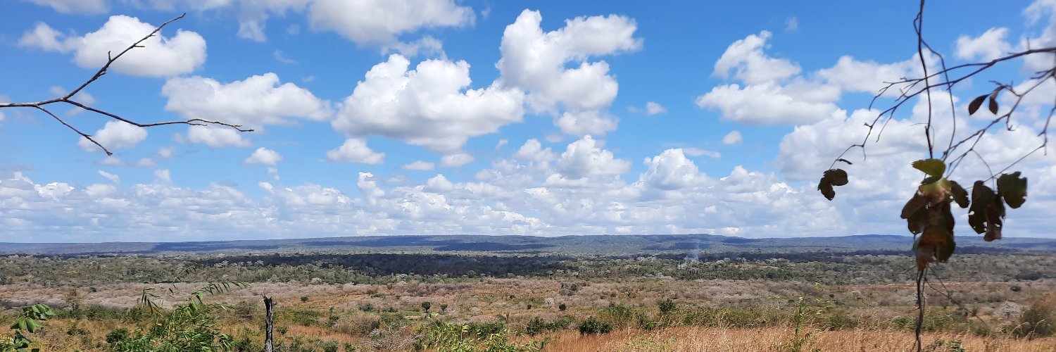 MMalocho's profile banner image