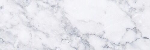 Alicja_nba's profile banner image