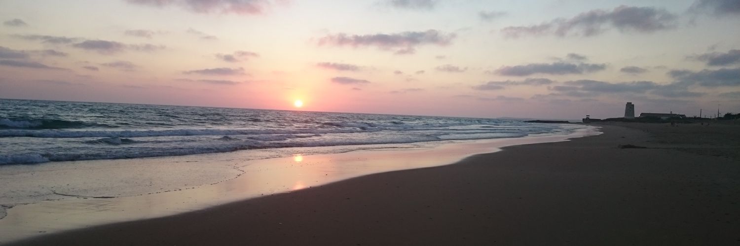 mamp_michi's profile banner image