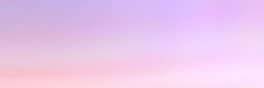 Bruin Ambassadors banner