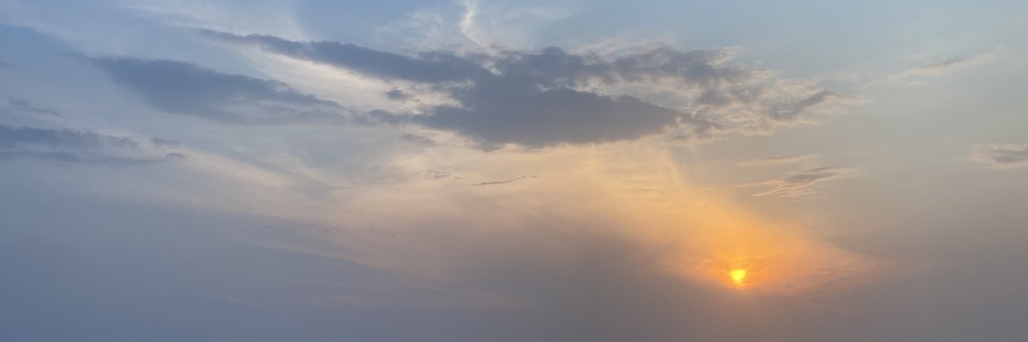 evxbaby's profile banner image