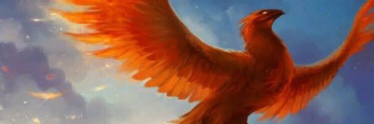 cathykatb's profile banner image