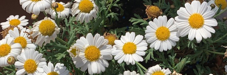 Juliins8's profile banner image