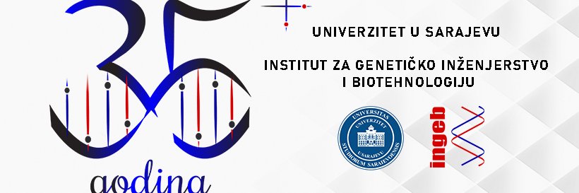 ingebunsa's profile banner image