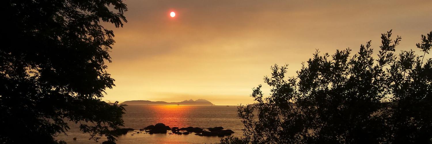 SilviMRey's profile banner image