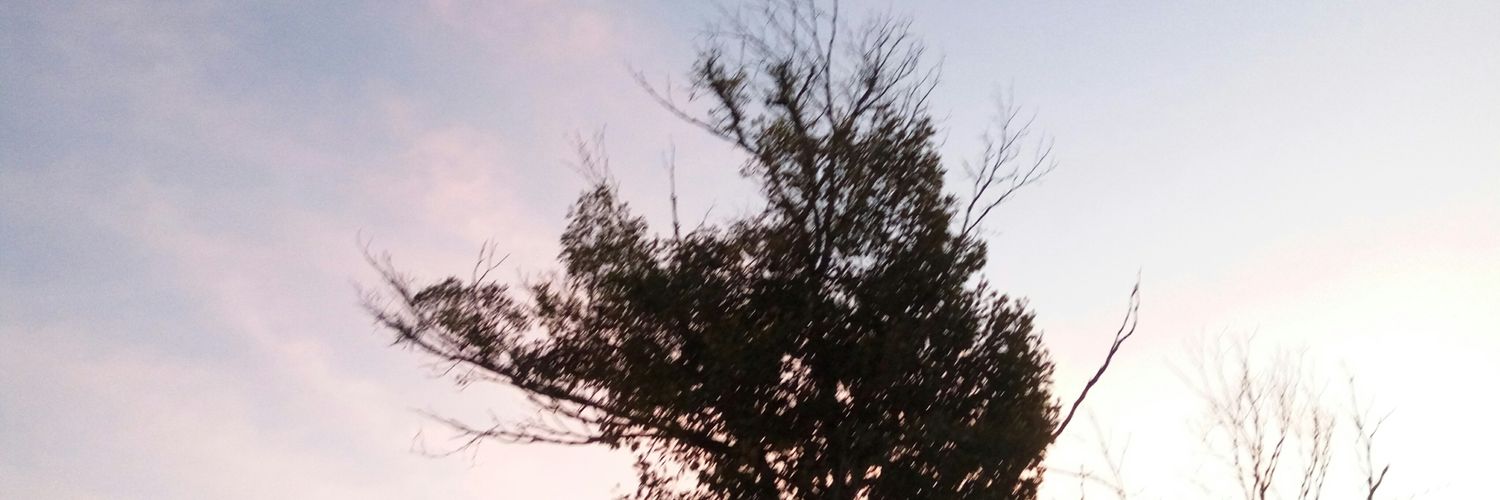 Ira_rhe's profile banner image