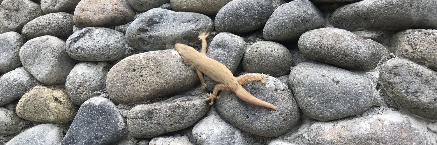 🖤Spencer Cookie banner