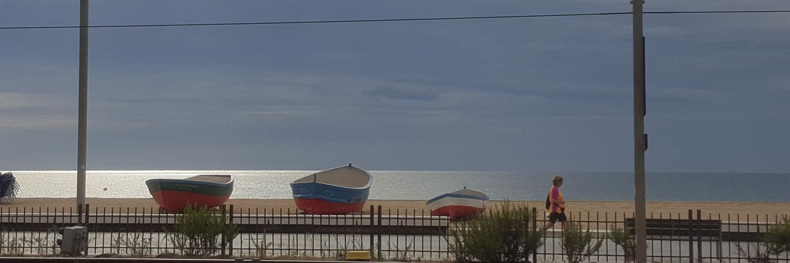 Sílvia Soler Guasch banner