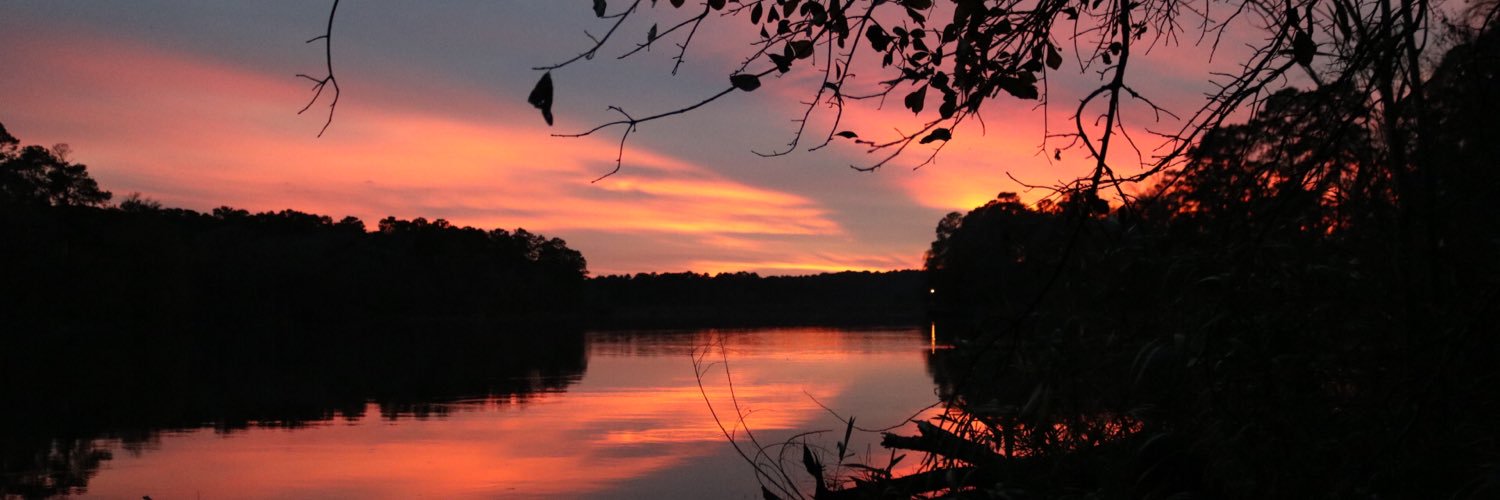 LehrmannAllison's profile banner image