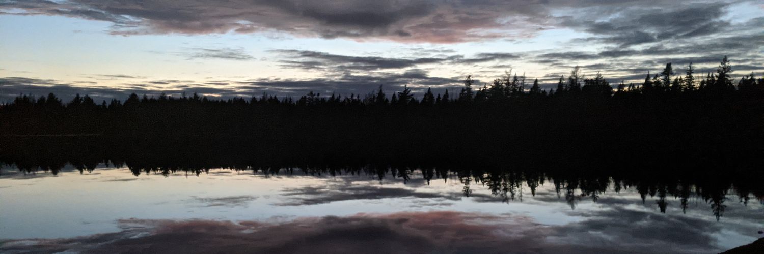 heddymay's profile banner image