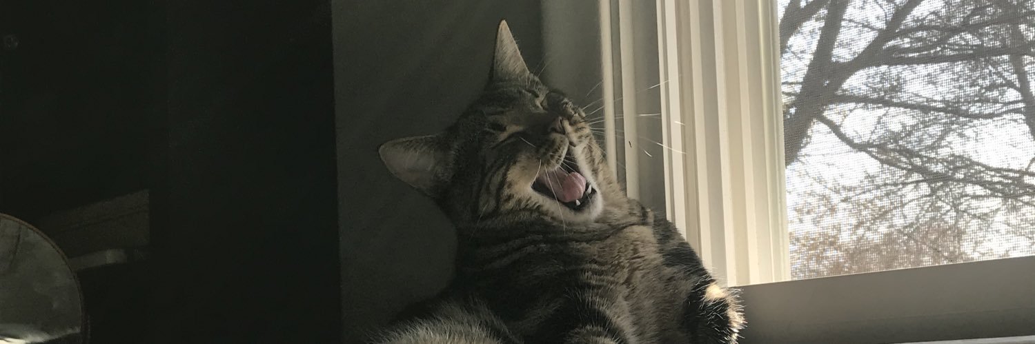 proobles's profile banner image